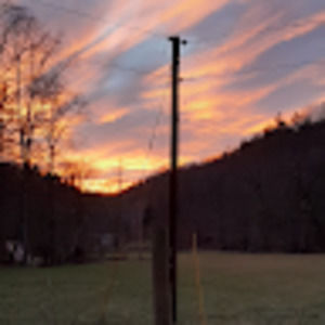 Meet your Posher, Phillip